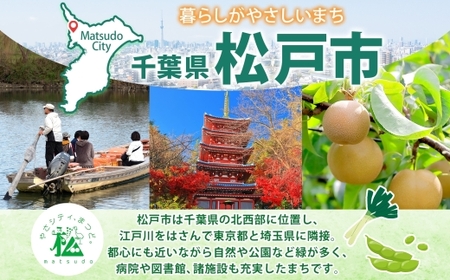 やみつきスパイス 酒舞 6個セット  調味料 オリジナルスパイス オリジナル調味料 荒挽きブレンド 万能スパイス キャンプ BBQ アウトドア 人気 ギフト プレゼント 焼き肉 焼肉 サラダ スープ 