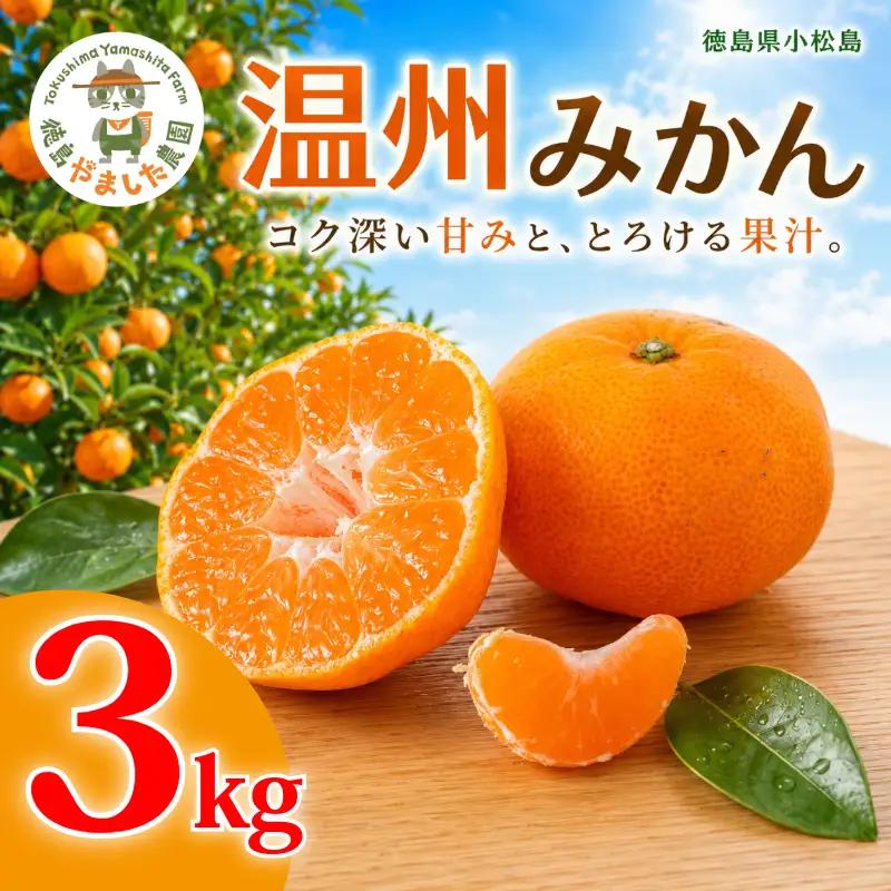 【2026年12月順次発送】温州みかん 3kg 完熟 みかん