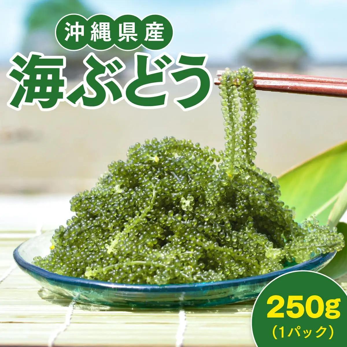 海ぶどう　250g× 1 パック（ご自宅用）