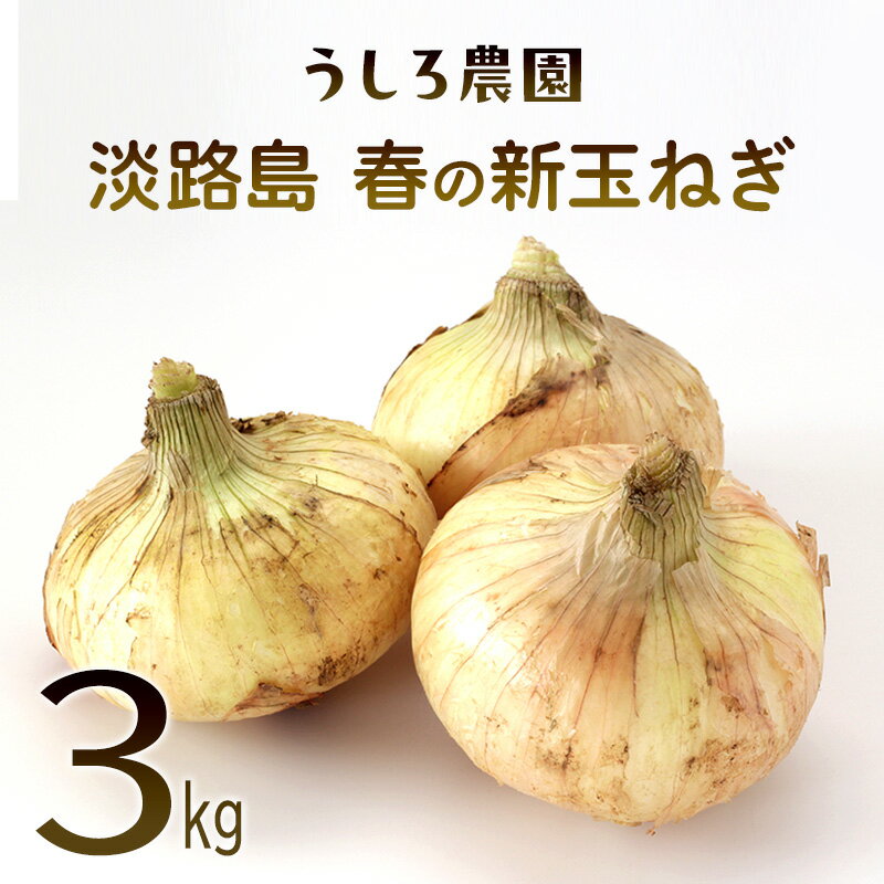 【ふるさと納税】淡路島　春の新玉ねぎ　3kg　早生 新玉ねぎ 玉ねぎ たまねぎ 玉葱 オニオン 野菜 肉厚 ジューシー スライス ホイル焼き レンジ調理 バター醤油 旬 兵庫県 洲本市 淡路島　お届け：2026年4月中旬～5月下旬
