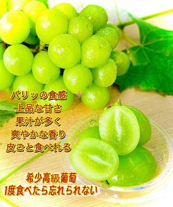 岡山県産シャインマスカットＪｅｗｅｌｒｙ ｂｏｘ青化粧箱入り18粒贈答用