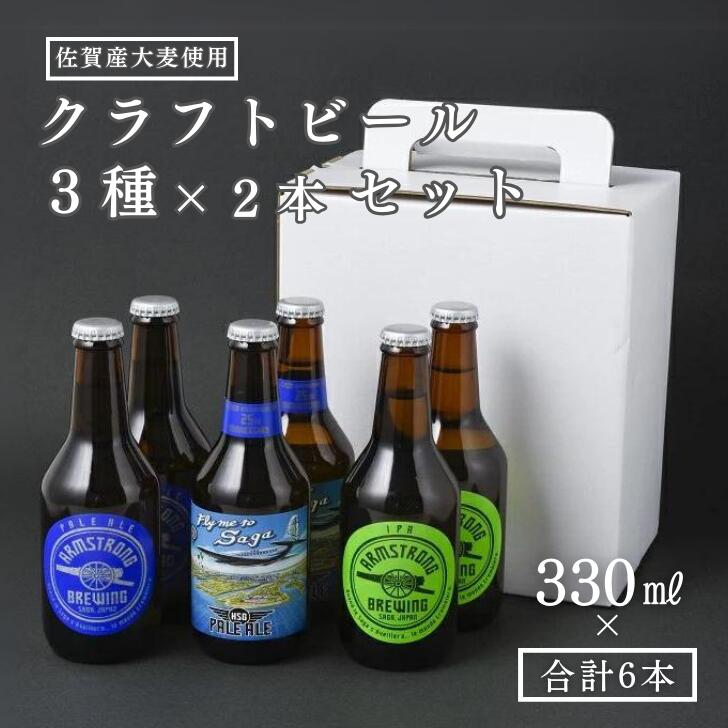 【ふるさと納税】〈アームストロング〉クラフトビール6本セット：B205-001