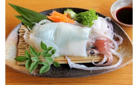 白イカ 朝どれ 丸ごと3本 イカ