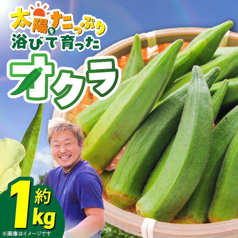【ふるさと納税】オクラ 約 1kg 国産 太陽 たっぷり 浴びて 育った 野菜 2026年発送 新鮮 栄養 ボリューム お弁当 天ぷら 産地直送 お取り寄せ セット 料理 総菜 おかず サラダ 愛知県 碧南市 送料無料
