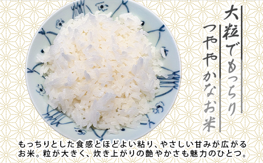 【a168】米（玄米）「にじのきらめき」5kg(一袋）