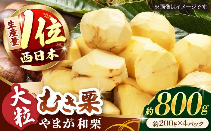 
            やまが和栗 大粒むき栗 約800g（約200g×4pc）小分け【古川農園】和栗 栗 むき栗 くり クリ 大粒 国産 熊本県産  [ZES001]
          