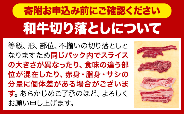 牛肉 肉 国産牛 切り落とし ホルスタイン 大容量 小分け 1.2kg × 6ヶ月定期便 《お申込み月の翌月から出荷開始》岡山県産 岡山県 笠岡市 お肉 にく カレー 牛丼 牛肉 切り落し 小分け 切