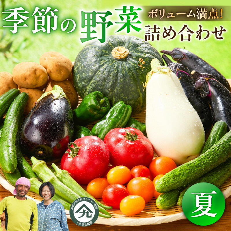 【ふるさと納税】 ボリューム満点 季節の野菜 詰め合わせ（夏）期間限定 トマト とまと かぼちゃ カボチャ 南瓜 王様トマト 王様とまと 野菜 甘い おいしい ホクホク 栄養満点 セット 旬のやさい くろぜむ農園 神奈川 三浦市 おすすめ ランキング プレゼント ギフト