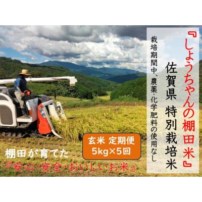 ふるさと納税 多久市 【毎月定期便】『しょうちゃんの棚田米。』栽培期間中農薬使用なし 玄米5kg×全5回
