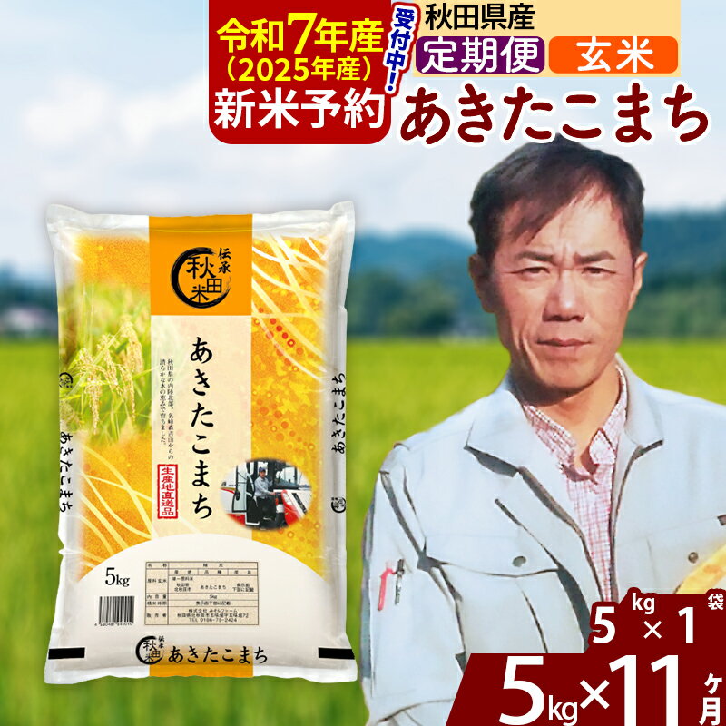【ふるさと納税】※令和7年産 新米予約※《定期便11ヶ月》秋田県産 あきたこまち 5kg【玄米】(5kg小分け袋) 2025年産 お届け周期調整可能 隔月に調整OK お米 みそらファーム