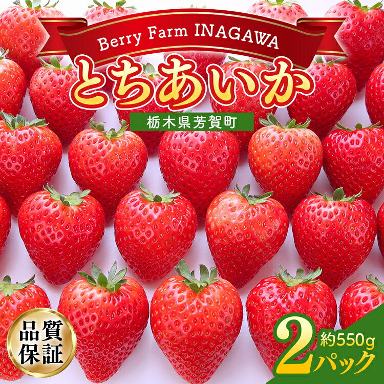 【ふるさと納税】栃木県産いちご とちあいか 2パック入り（550g前後）｜果物 フルーツ 苺 イチゴ 朝採れ 新鮮 産地直送 栃木県 芳賀町 《2026年12月下旬-2027年3月末頃出荷予定》【配送不可地域あり】(沖縄・離島)