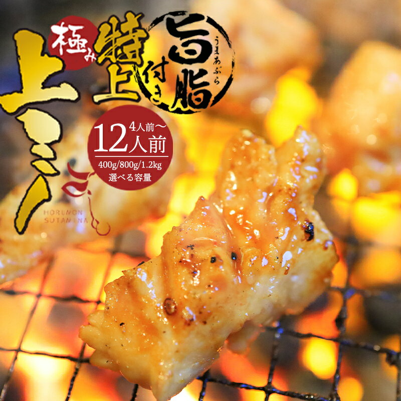 【ふるさと納税】国産牛 上ミノ 旨脂付き 400g / 800g / 1.2kg｜附属タレ 冷蔵 焼肉 ホルモン BBQ 贈答 京都 舞鶴