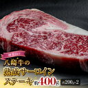 【ふるさと納税】八崎牛 熟成 サーロイン ステーキ 200g × 2 計 400g 贈答向け 黒毛和牛 自然放牧 牛肉 牛 肉 赤身 和牛 高級 国産 冷凍 食品 グルメ サーロインステーキ 惣菜 おかず お取り寄せ お取り寄せグルメ 鏡山牧場 宮崎県 延岡市 送料無料