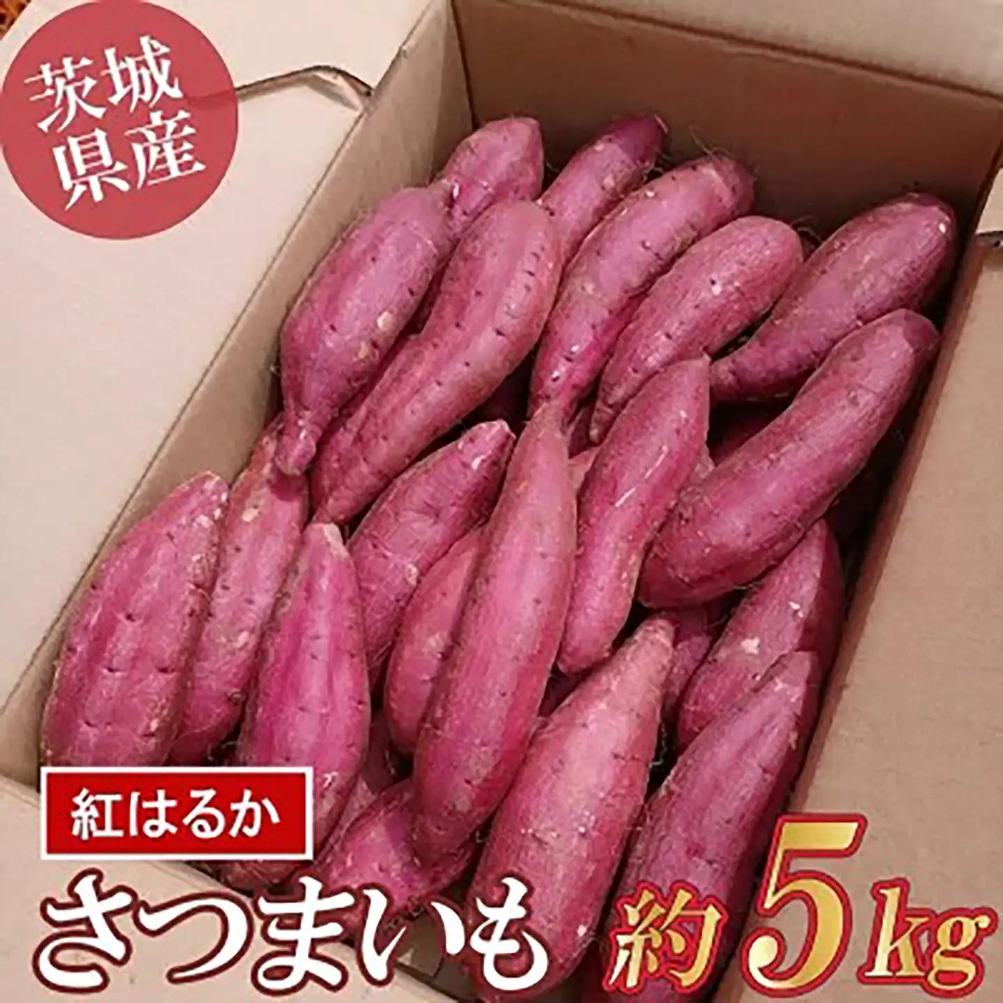 さつまいも 茨城県産 紅はるか 5kg さつまいも