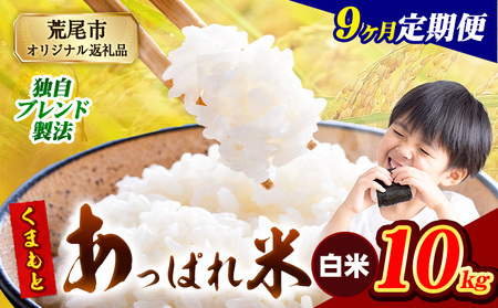 【9ヶ月定期便】熊本県産 くまもとあっぱれ米 白米 ブレンド米 10kg 熊本県産 ふるさと納税  精米 米 こめ ふるさとのうぜい コメ お米 おこめ《お申込み翌月から出荷》