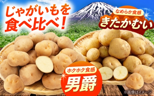 【2027年1月上旬以降順次発送】 じゃがいも 食べ比べセット（男爵・きたかむい）計20kg （10kg×2種） | じゃがいも ジャガイモ 男爵芋 きたかむい 北海道 産地直送 セット 先行予約 |
