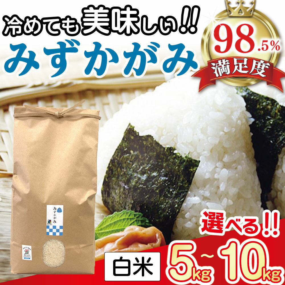 【ふるさと納税】【新米】【令和7年産】環境こだわり米「みずかがみ」白米 5kg / 10kg 選べる 米 きてか〜な 近江米 国産