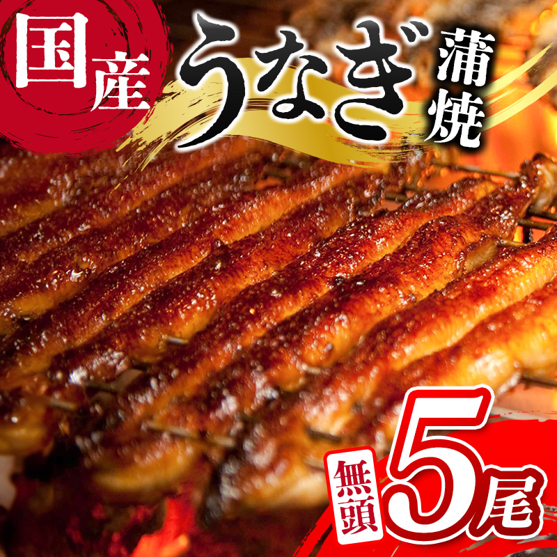 ＜ご家庭用＞うなぎ 鰻楽 国産 蒲焼 5尾 計650g以上（130g×5尾）おすすめ 冷凍 簡単調理 個包装 鰻 魚介【D144】