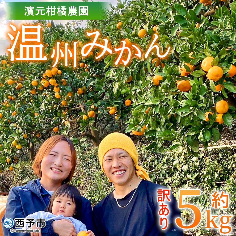 【ふるさと納税】＜明浜産 温州みかん 約5kg 訳あり＞ 愛媛みかん 農家直送 愛媛県産 家庭用 自宅用 ワケアリ 果物 フルーツ 柑橘 うんしゅうみかん ウンシュウミカン オレンジ 蜜柑 S～L 濱元柑橘農園 西予市【常温】『2025年11月下旬から12月中旬までに順次出荷予定』