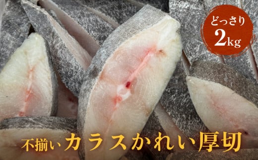 不揃い 訳あり カラスかれい厚切（ どっさり 2kg ）カレイ 冷凍 おかず 切身 煮魚 焼き魚