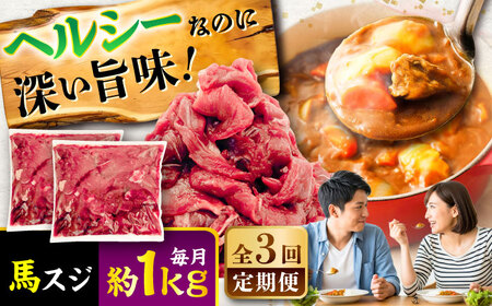 【全3回定期便】馬スジ 約1kg (約500g×2パック) / 馬肉 スジ 馬すじ 煮込み 煮物 カレー お肉 スジ肉 スジ すじ肉 料理用 馬 肉 熊本 すじ【五右衛門フーズ】[BHCY042]