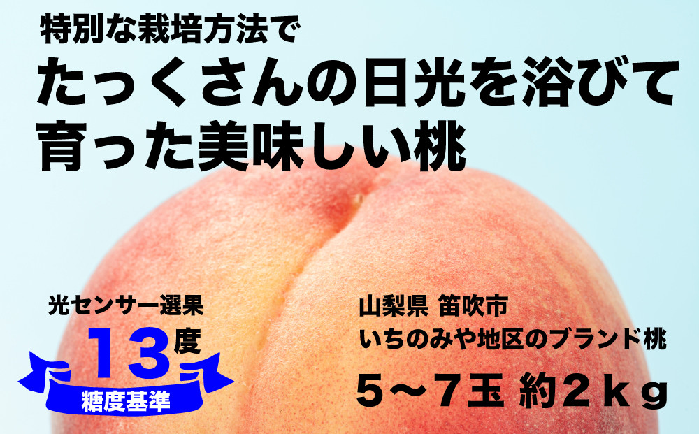 
            【糖度13度基準】いちのみやの桃 5〜7玉 約2kg【2025年発送】＜扇状地・Y字栽培＞肥沃な大地と沢山の日光で育った桃【バイパス清果園】産地直送 山梨県 笛吹市 一宮 果物 フルーツ 新鮮 有機 国産 高級 美味しい 人気 おすすめ 贈答 ギフト  ピーチ もも モモ 数量限定 期間限定 令和7年 先行予約 206-010
          