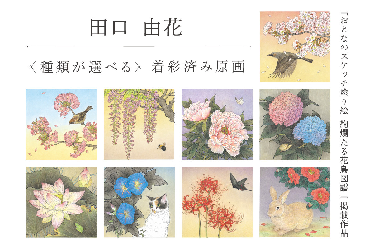 
            田口由花　着彩済み原画（『おとなのスケッチ塗り絵　絢爛たる花鳥図譜』掲載作品）　【色鉛筆画 日本画 絵画 インテリア 原画 芸術品 美術品】
          