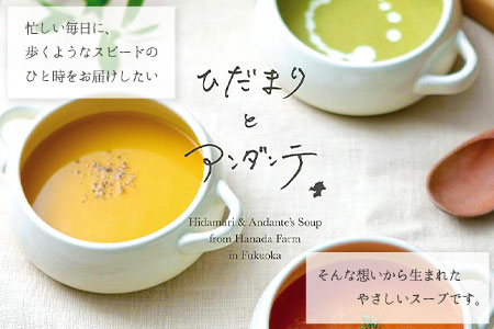 【3ヶ月定期便】ひだまりとアンダンテセット 全3回《お申込みの翌月より出荷》福岡県 鞍手郡 鞍手町 花田農園 野菜スープ トマト ブロッコリー かぼちゃ 送料無料