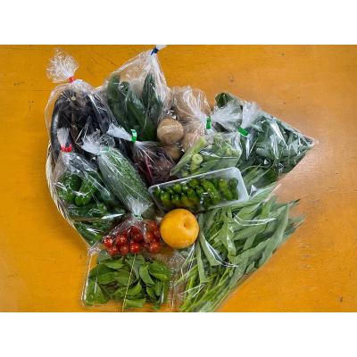ふるさと納税 焼津市 【定期便 全4回】ジモベジ 野菜 セット(a40-103) |  | 01