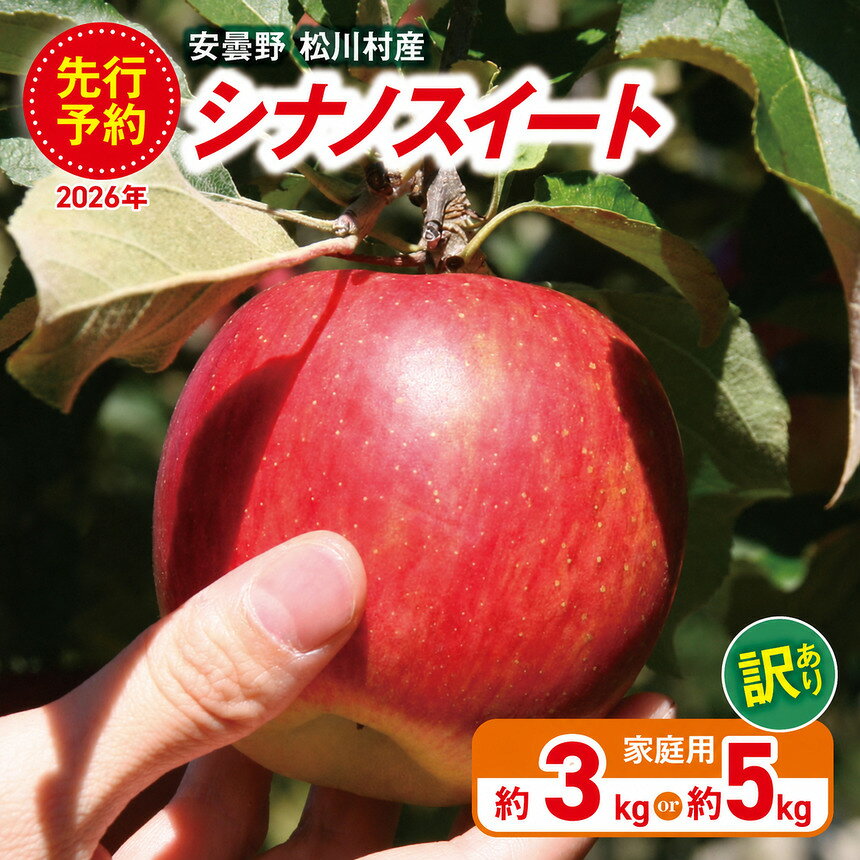 【ふるさと納税】 訳あり 家庭用 シナノスイート 選べる容量 約3kg 約5kg 【2026年先行予約】｜ 山とりんご リンゴ りんご 林檎 果物 フルーツ 果実 果汁 シナノスイート しなのすいーと 訳あり わけあり 家庭用 長野県 松川村 北アルプス 信州