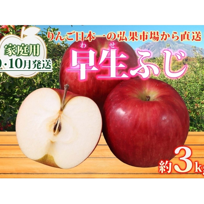 【9月・10月発送】家庭用 早生ふじ 約3kg リンゴ 林檎 りんご 皮ごと 甘い 酸味 シャキシャキ デザート フルーツ 果物 お取り寄せ 産地直送 旬 季節限定 弘果物流 青森県 西目屋村 西目屋村産 青森りんご