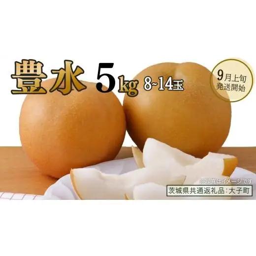 豊水 約5kg (8～14玉)【2026年9月上旬発送開始】(茨城県共通返礼品：大子町)