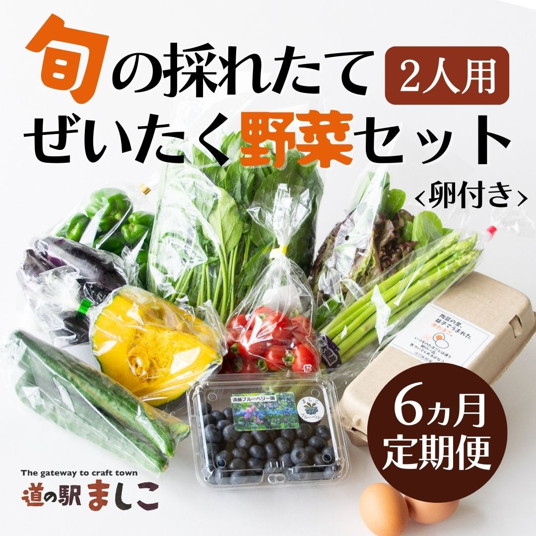 
AA034＜6か月定期便＞旬の採れたてぜいたく野菜セット（卵付き）2人用
