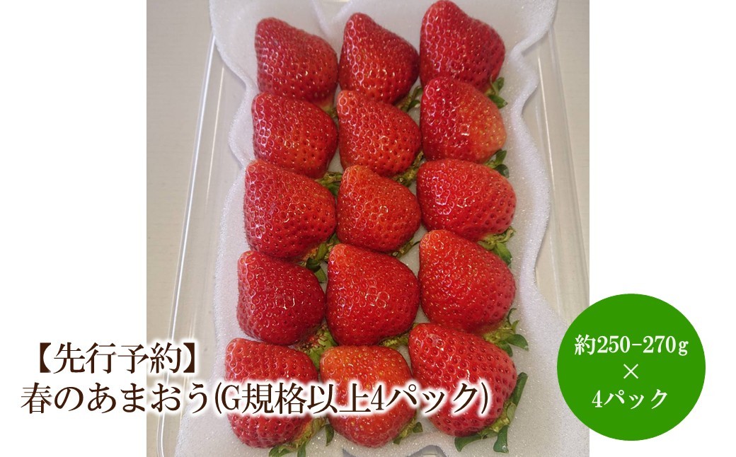 
                  【2027年先行予約】春のあまおう(G規格以上4パック)【044-0079】
                