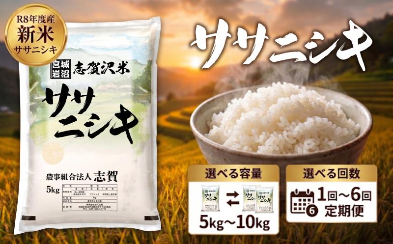 
                  【 令和8年産 】新米 ササニシキ [選べる容量/回数] おこめ お米 白米 精米 コメ ライス ごはん ご飯 国産米 銘柄米 さっぱり あっさり 希少 プレミアム 和食 くどくない 甘すぎない 香り おべんとう 弁当 おにぎり 大粒 食味 毎日の食卓 飽きない 日本人の原点 志賀沢米 岩沼産米
                