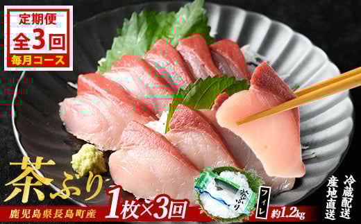 
            茶ぶりフィレ定期便 毎月 (全3回)  国産 鹿児島県産 ブリ 茶ぶり 鰤 海鮮 海産物 フィレ 魚介 魚 刺身 海鮮丼 産地直送 定期【ウスイ】usui-1383A7
          