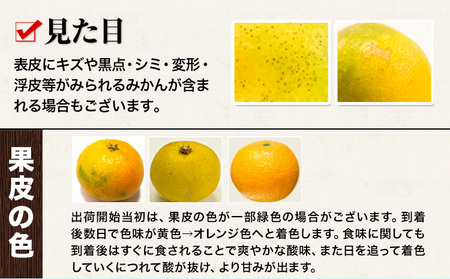  訳あり 小玉みかん  5kg 秋 旬 不揃い 傷 ご家庭用 SDGs たっぷり 熊本県 産 S-3Sサイズ フルーツ 柑橘 《9月下旬-12月下旬頃出荷》