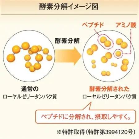 酵素分解ローヤルゼリー王乳の華とプロポリス300 (21364)【1111705】