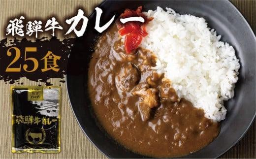 【8月発送】飛騨牛カレー (25袋) ビーフカレー 飛騨牛カレー 簡易包装 レトルトカレー ふるさと清見 DC008VC08