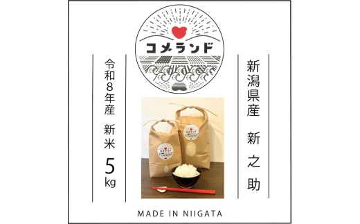 令和8年産 先行予約 上越市産 5kg 5キロ 精米 新潟県 上越市 板倉区 コメランド しんのすけ 限定 おすすめ 米 コメ