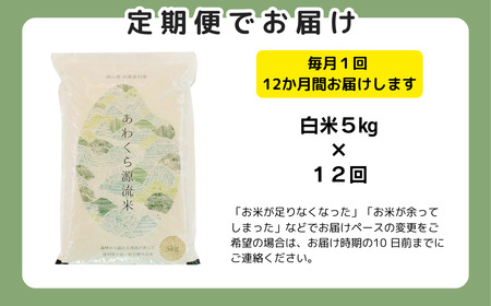 【令和8年産新米・先行予約】【12回定期便】あわくら源流米 あきたこまち 白米 5kg｜西粟倉村産・昼夜寒暖差が育む甘み｜ふるさと納税 K-bf-DFZA
