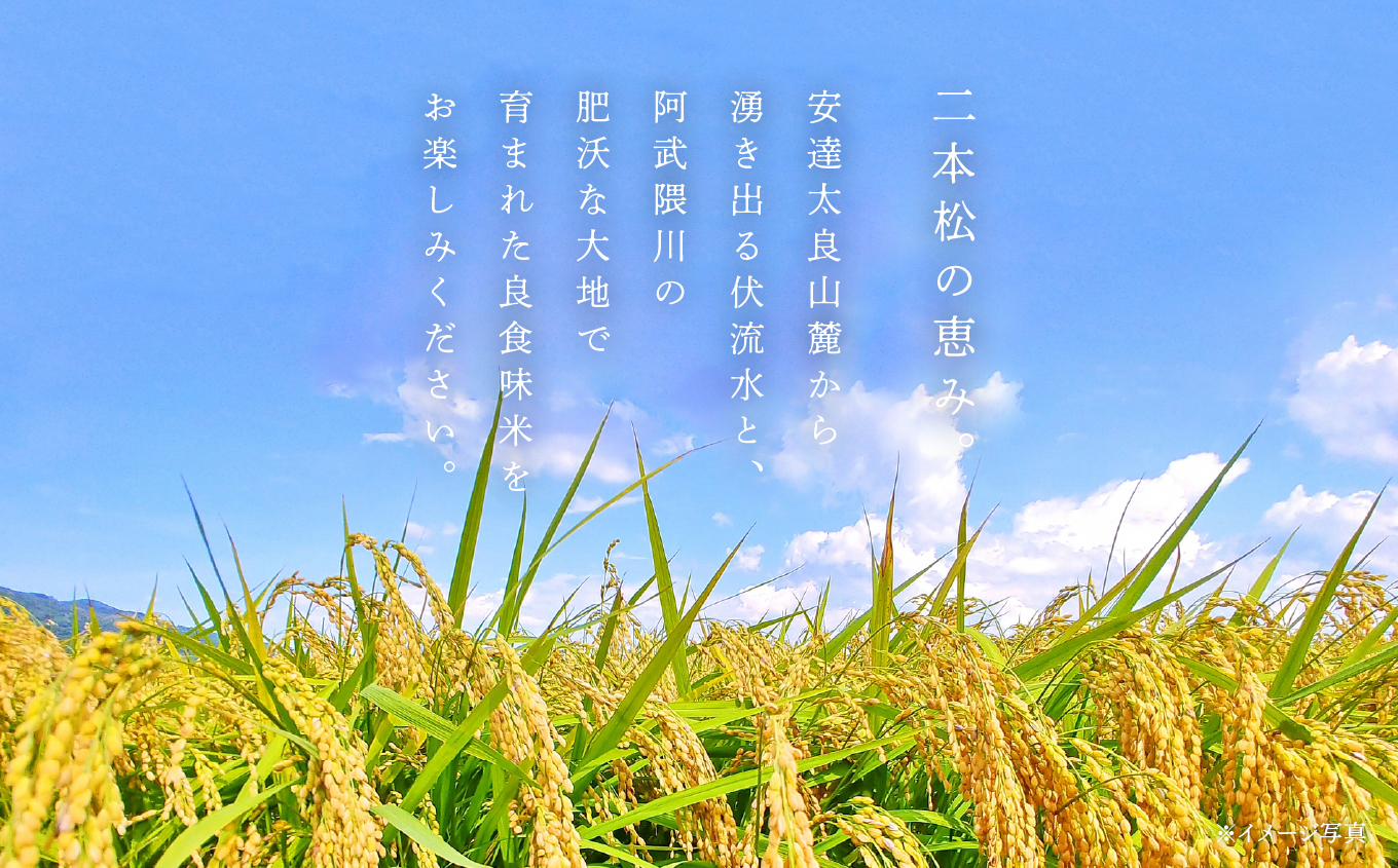 【定期便3ヶ月】コシヒカリあだちのめぐみ5kg 特別栽培米 定期便 3ヶ月 15kg 令和7年産 コシヒカリ 米 白米 ふっくら 甘い 人気 ランキング おすすめ ギフト 故郷 ふるさと 納税 福島 