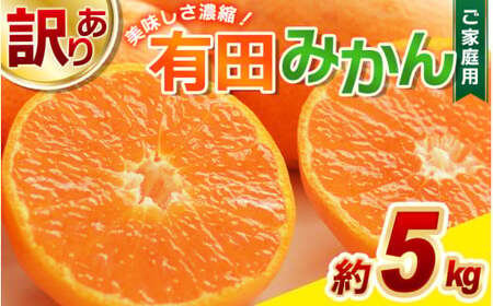 みかん 訳あり 有田みかん 約5kg【nuk161E】 