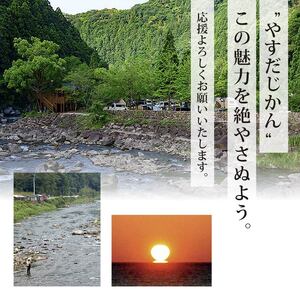 安田町産「超」訳あり ナス なす 2kg 20本以上 ナス 新鮮 なす 産地直送 ナス 規格外 なす TR-0003