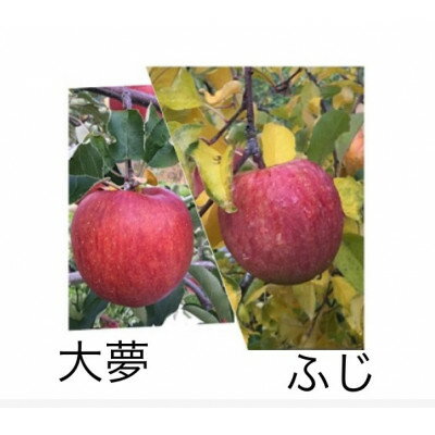 【ふるさと納税】岩手県岩泉町産　りんご2品種(サンふじ・大夢)食べくらべ! 1.5キロ(約4個)【1542938】