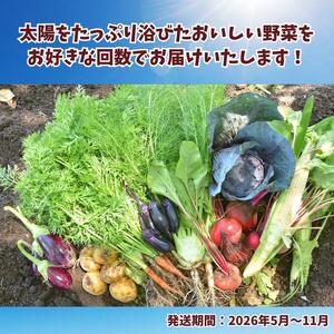 【先行予約】 栃木県産 旬の野菜 (果物) 便 3～10種 1回分