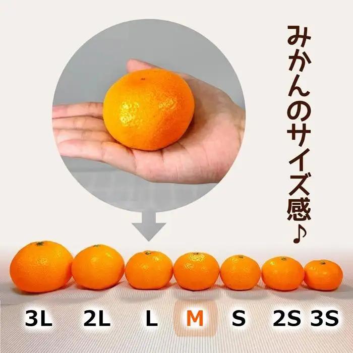みかん Ｍサイズ 秀品 箱込 5kg (内容量約 4.4kg) 有田みかん 和歌山県産 産地直送 贈答用 ［2026年11月中旬より順次出荷予定］［みかんの会］