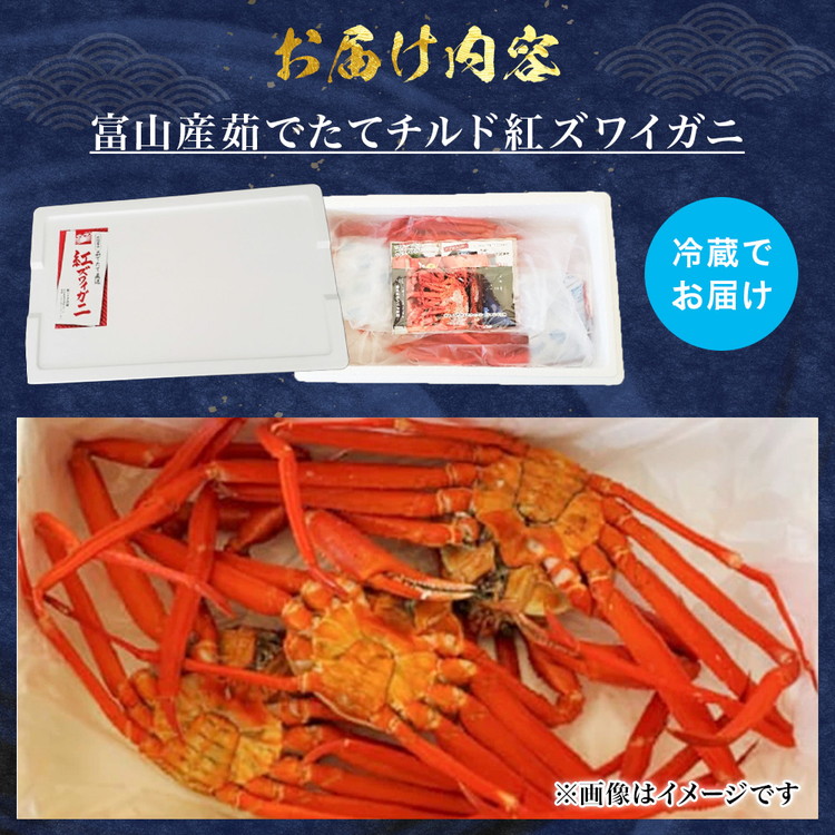 【特に訳あり】魚卸問屋のベニズワイガニ 約3kg｜ 魚介類 海の幸 海鮮 ボイル 国産 富山県産 魚津市産 ※2024年12月上旬～2025年5月下旬頃に順次発送予定 ※北海道・沖縄・離島への配送不可