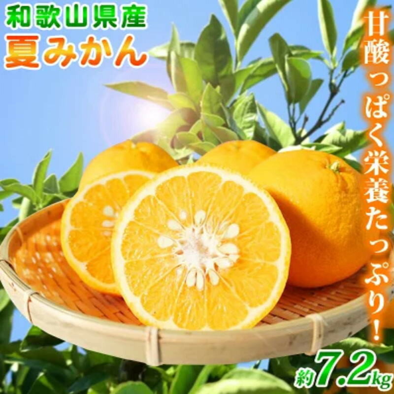 【ふるさと納税】夏みかん 7.2kg　※2026年4月中旬頃～4月下旬頃順次発送（お届け日指定不可）