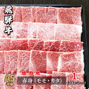 【ふるさと納税】牛肉 飛騨牛 焼き肉 セット 赤身 モモ 又は カタ 1kg 黒毛和牛 A5 美味しい お肉 牛 肉 和牛 焼肉 BBQ バーベキュー 【岐阜県瑞穂市】　モモ お肉 牛肉 焼肉 バーベキュー